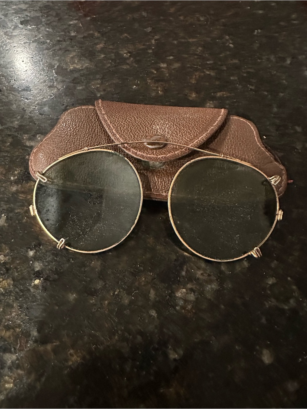 Mens Gold Round Clip-On Sunglass Lenses with Brown Case